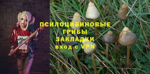 бошки Алзамай