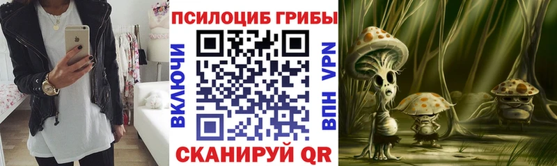 Псилоцибиновые грибы MAGIC MUSHROOMS  магазин    Павловский Посад 